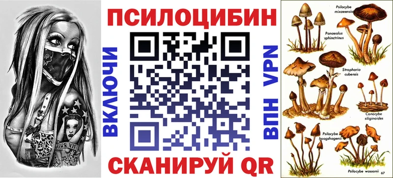 Псилоцибиновые грибы мицелий Енисейск